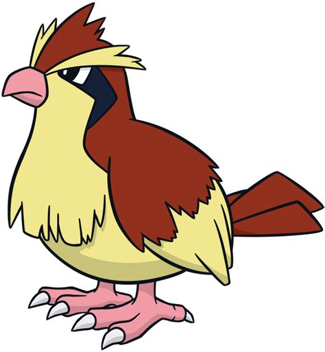 Pidgey .
